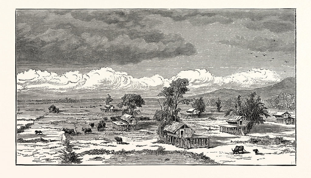 Detail of A Village in the Interior of Laos. by Anonymous