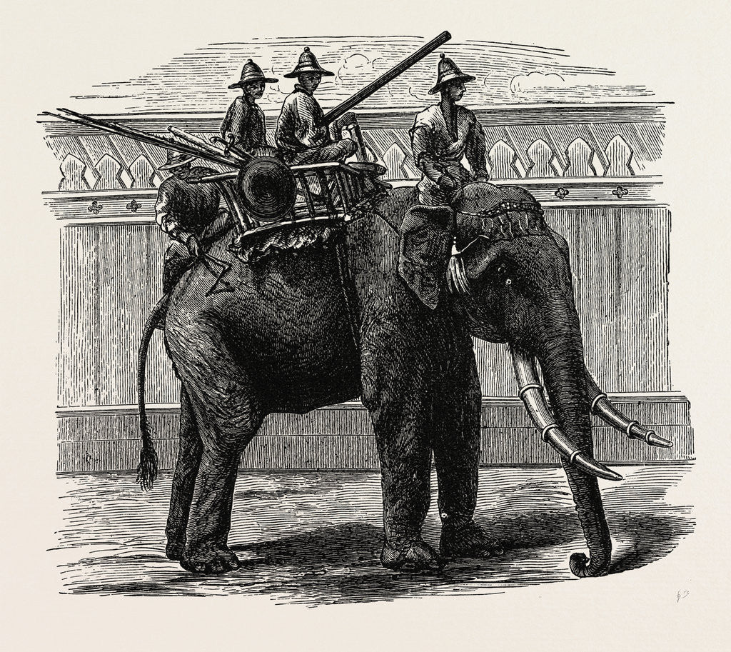 Detail of A Siamese War Elephant. by Anonymous