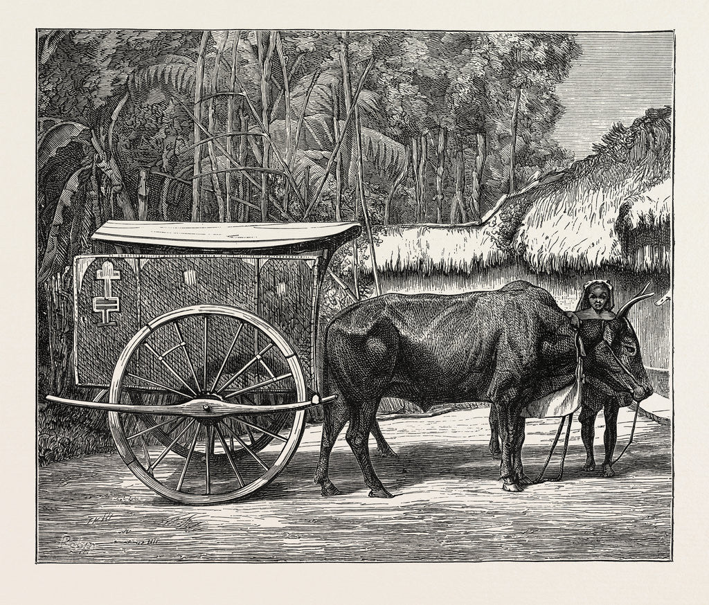 Detail of A Bullock Carriage in Cochin-China. by Anonymous
