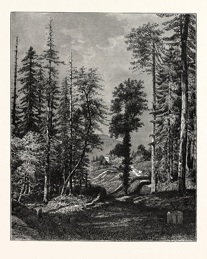 Detail of View in the Western Himalayas. by Anonymous
