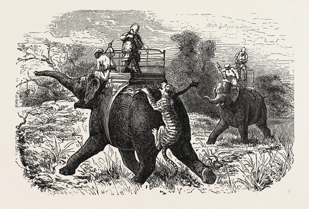 Detail of Tiger Hunting with Elephants in India by Anonymous