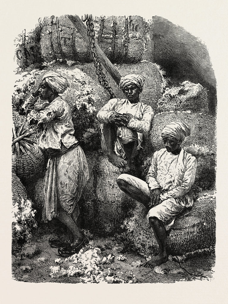Detail of Indian Cotton Operatives by Anonymous