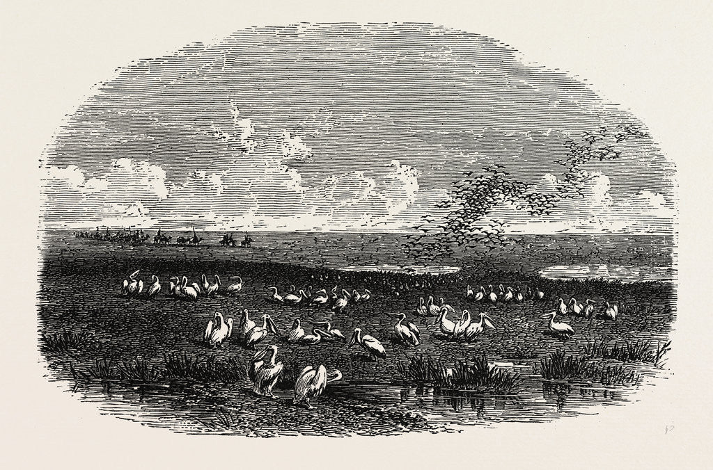 Detail of Scene on the Steppes of the Caspian by Anonymous