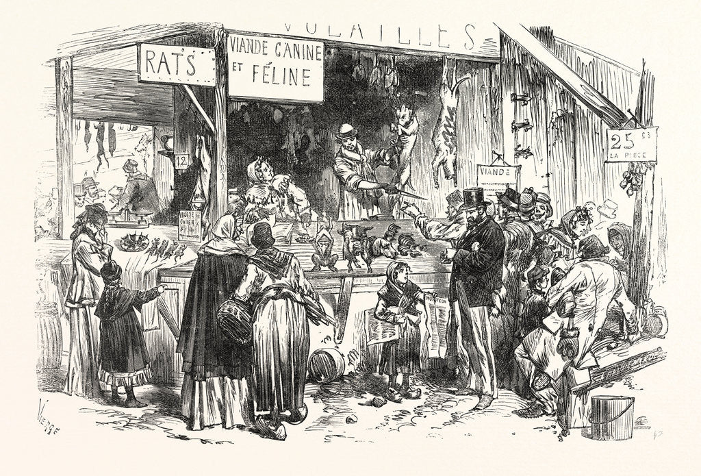 Detail of on the Market of St. Germain. At the Dogs and Cats Butcher. Fresh Rats, 1 Frank a Piece, 1871. France by Anonymous
