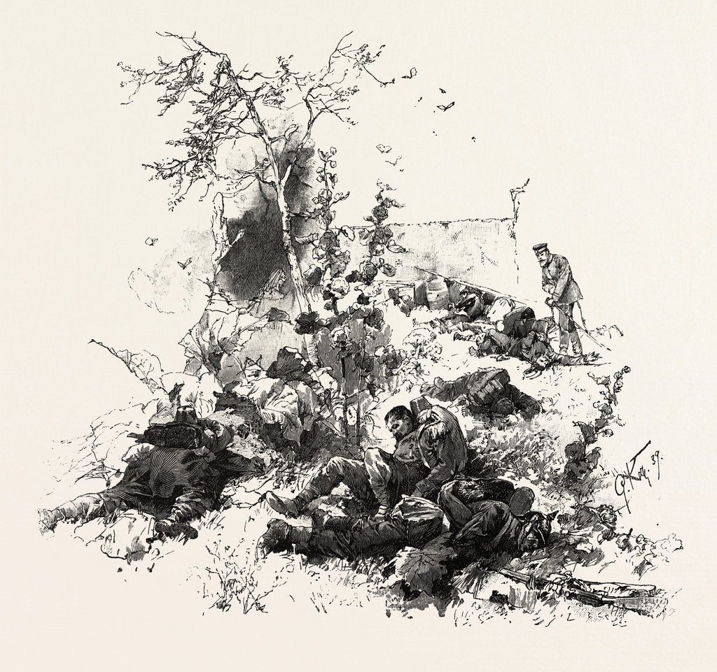 Detail of on the Slopes of the of Sauerthal, Germany by Anonymous