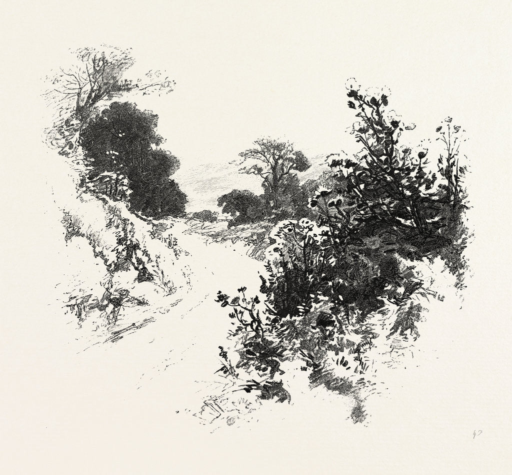 Detail of A Roadside Sketch, Canada by Anonymous