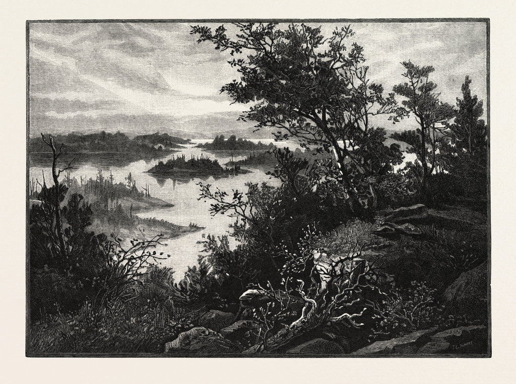 Detail of Stony Lake, Near Peterborough, Canada by Anonymous