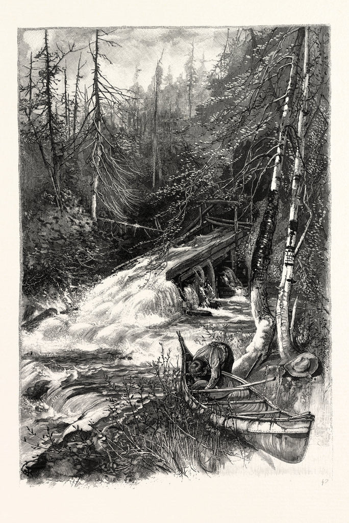 Detail of Forest Stream, and Timber Slide, Canada by Anonymous