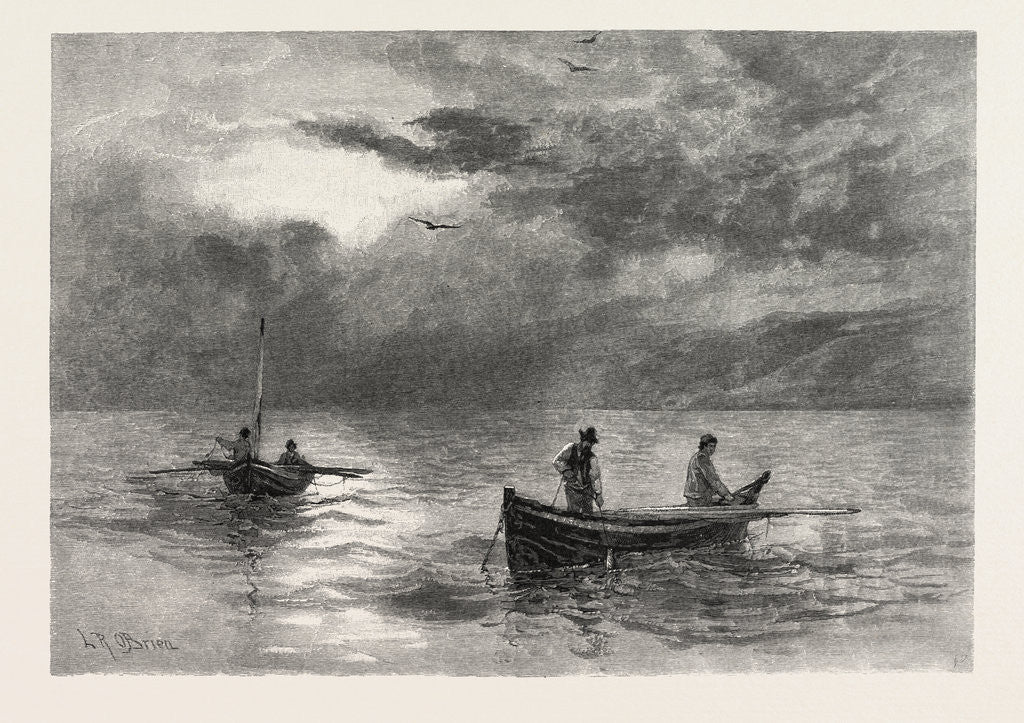 The Lower St. Lawrence and the Saguenay, Cod-Fishing, Canada by Anonymous