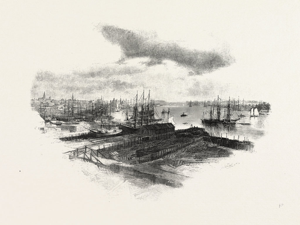 Detail of New Brunswick, St. John, from Portland, Canada by Anonymous