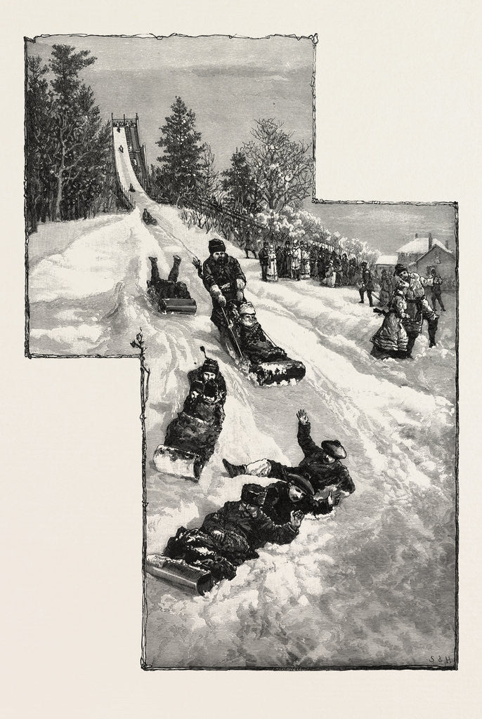 Detail of Ottawa, Tobogganning at Government House, Canada by Anonymous