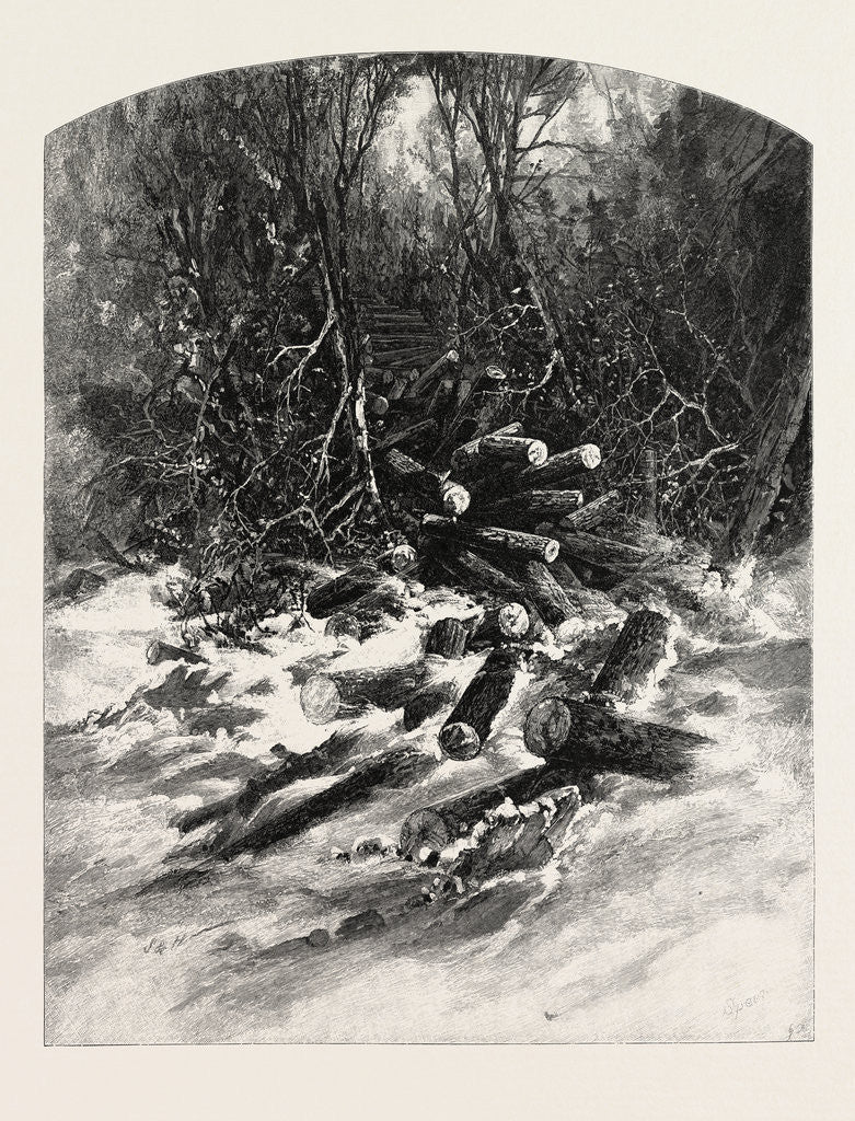 Detail of The Rollway, Lumbering, Canada by Anonymous