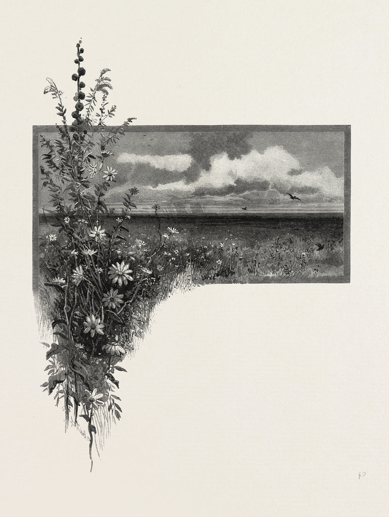 Detail of Manitoba, the Virgin Prairie, Canada by Anonymous