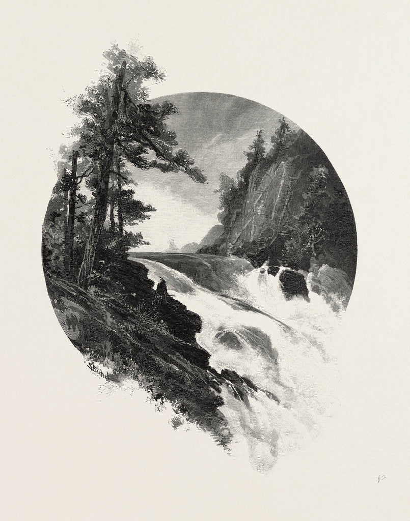 Detail of Manitoba, Falls of the Winnipeg, Canada by Anonymous