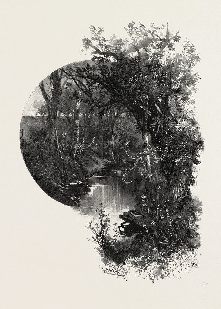 Detail of Manitoba, a Prairie Stream, Canada by Anonymous