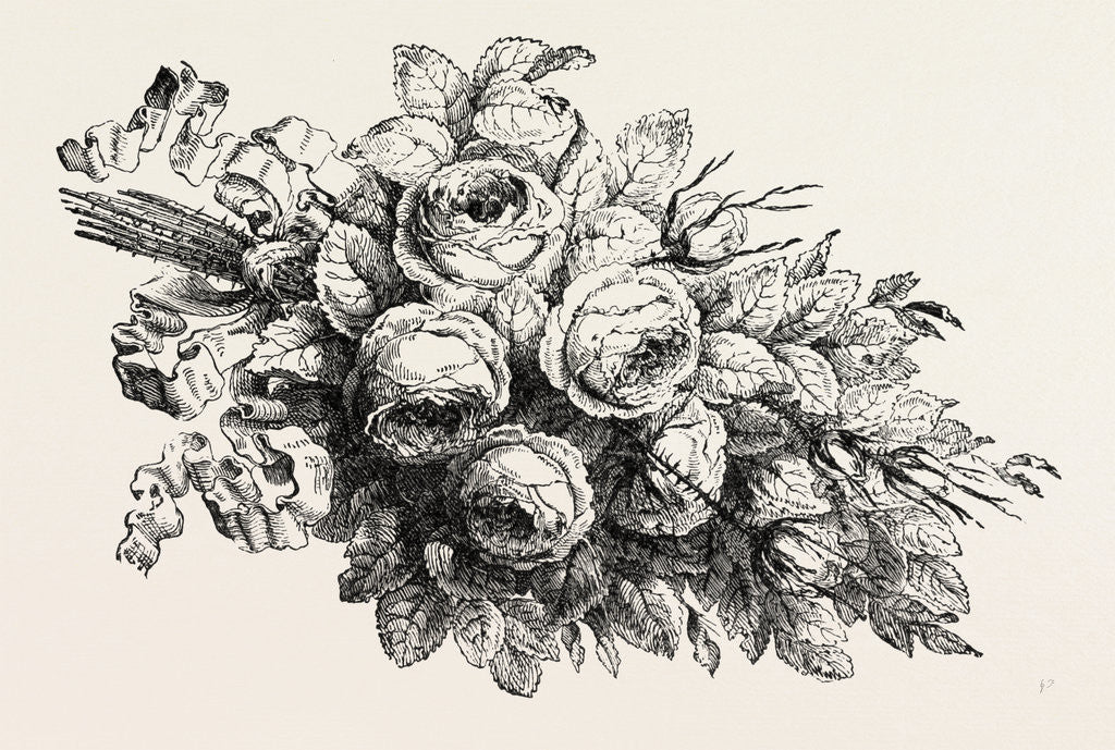 Detail of Flower, Flowers by Anonymous