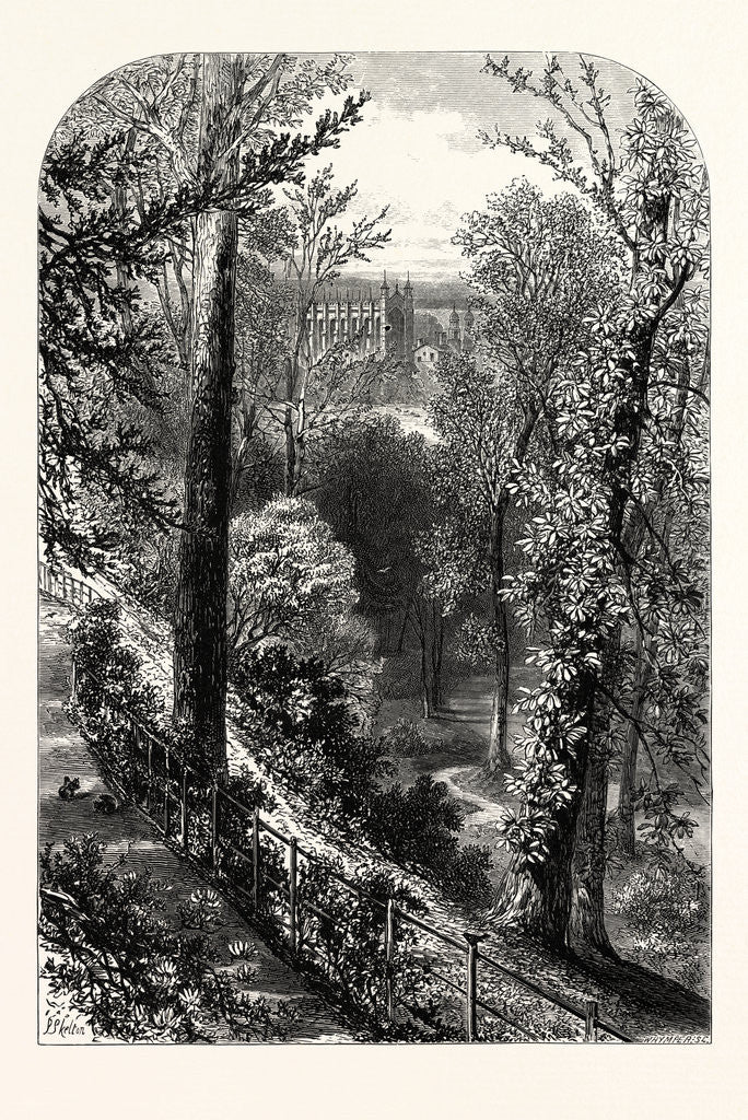 Detail of Windsor: The Slopes by Anonymous