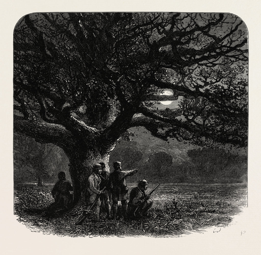 Detail of Windsor: The Watch Oak by Anonymous