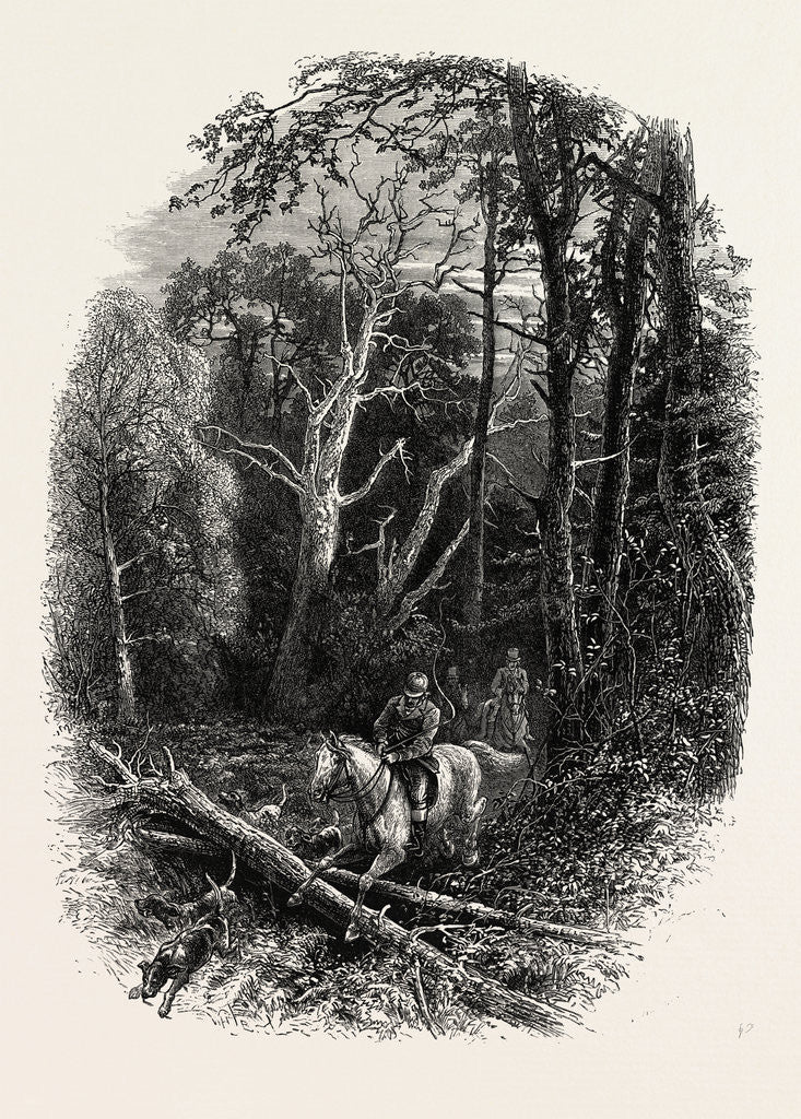 Detail of In Cedar Walk, Virginia Water, Village Being in the Borough of Runnymede in Surrey by Anonymous