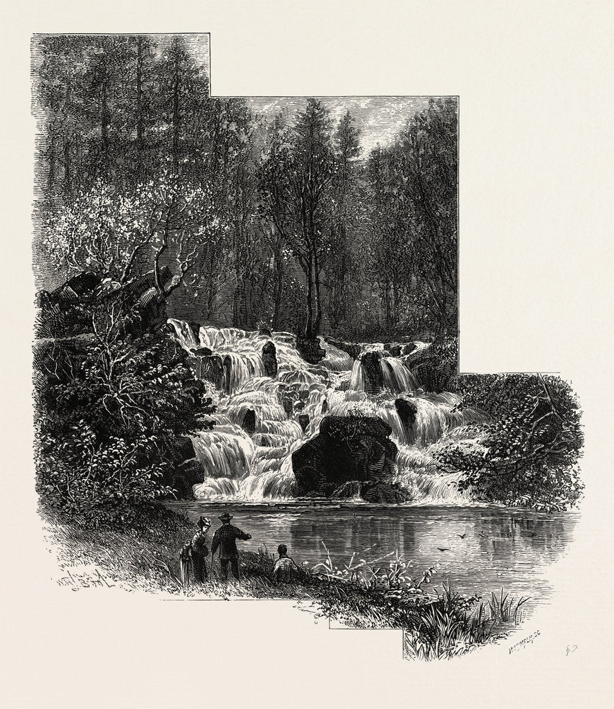 Detail of The Cascade, Virginia Water, Village Being in the Borough of Runnymede in Surrey by Anonymous