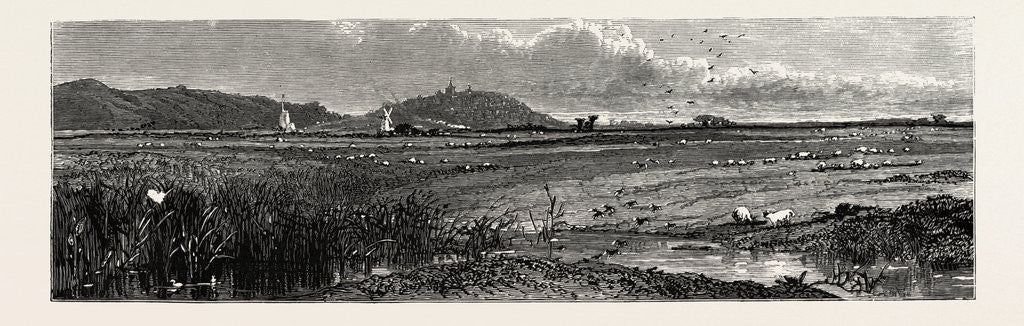 Detail of Distant View of Rye, Kent by Anonymous