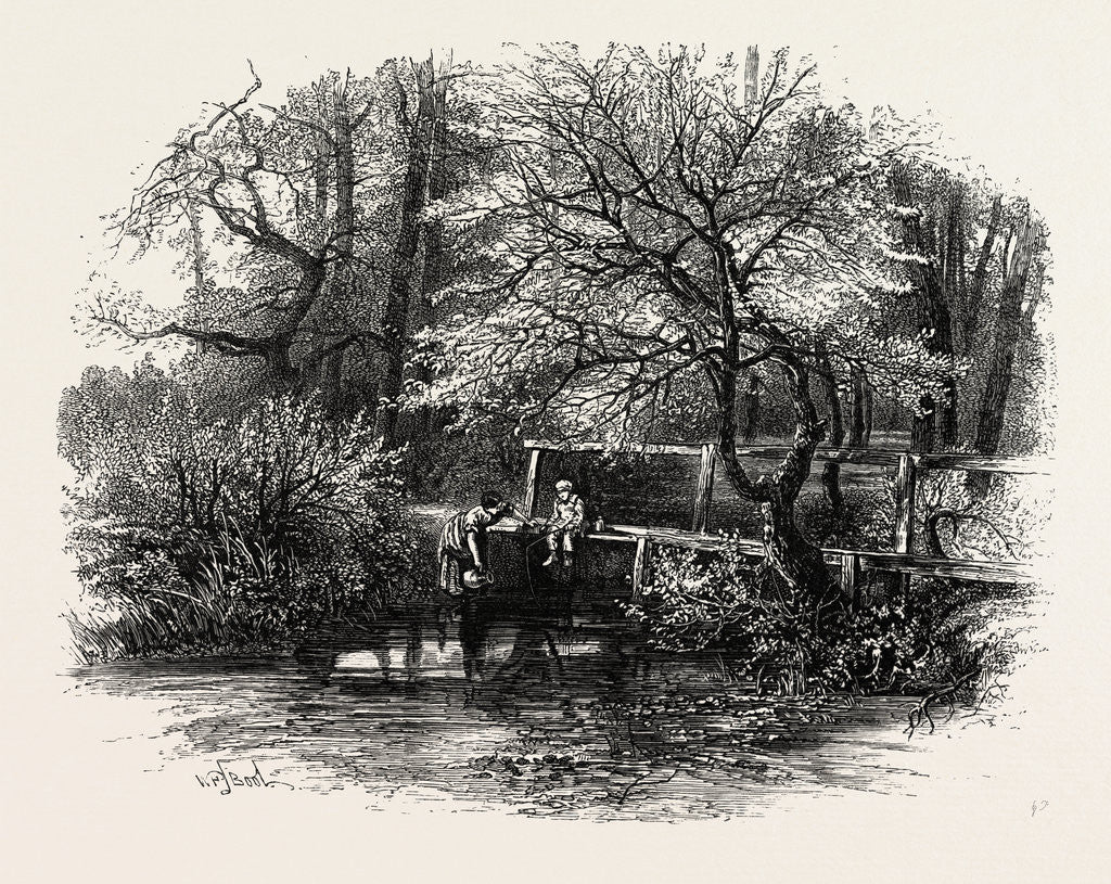 Detail of Markeaton Brook, East Midlands of England by Anonymous