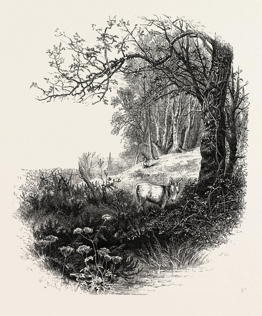 Detail of High Beech, Epping Forest by Anonymous