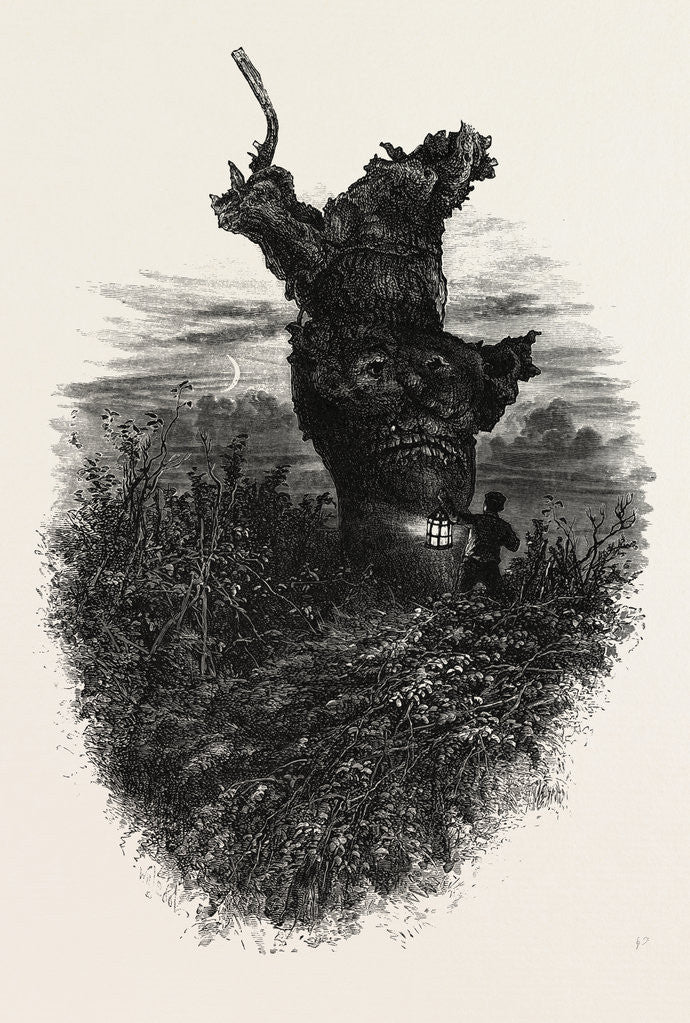 Detail of The Monkey Tree, Burnham Beeches by Anonymous