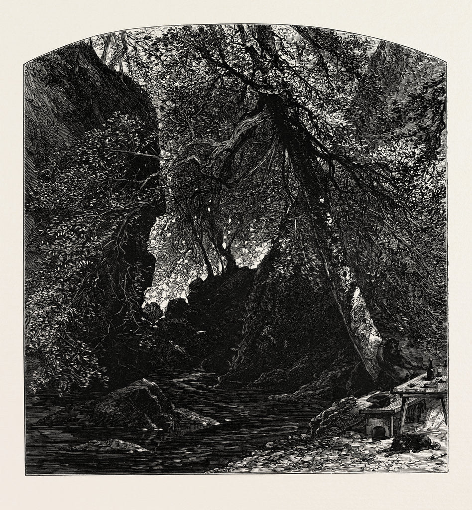 Detail of The Dargle, Ireland by Anonymous