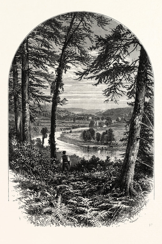 Detail of The Vale of Avoca, Ireland by Anonymous