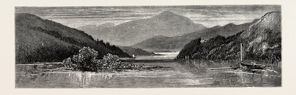 Detail of Dromana, Ireland by Anonymous