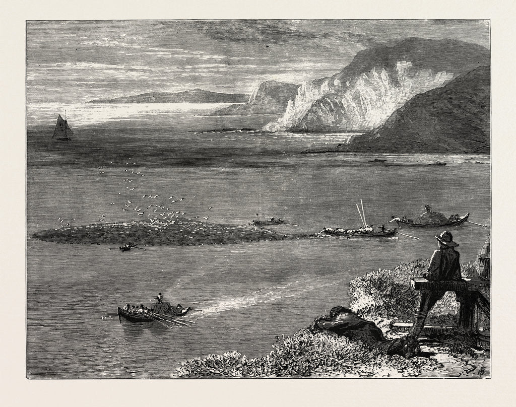 Detail of Pilchard Fishing Off the Lizard by Anonymous