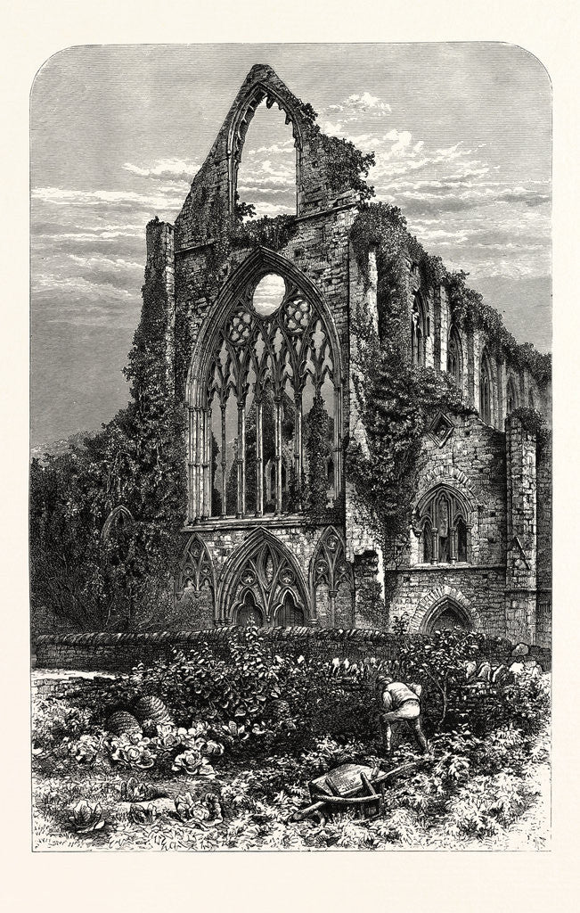 Detail of West Front of Tintern Abbey by Anonymous