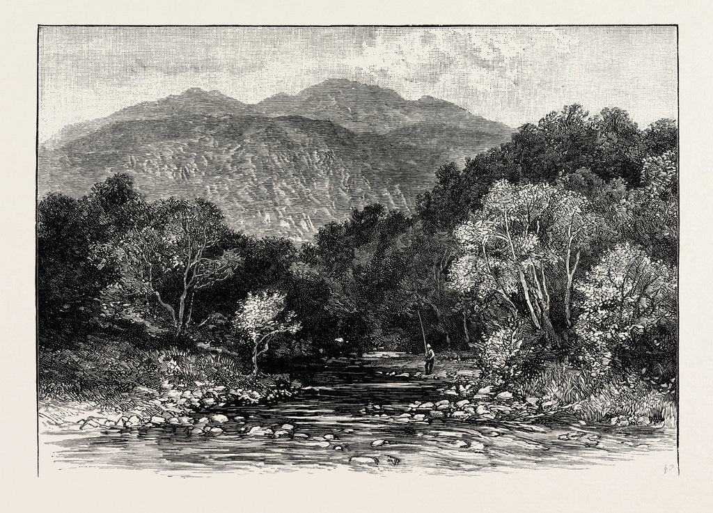 Detail of Ben Lomond: The Trossachs and Ben Venue by Anonymous