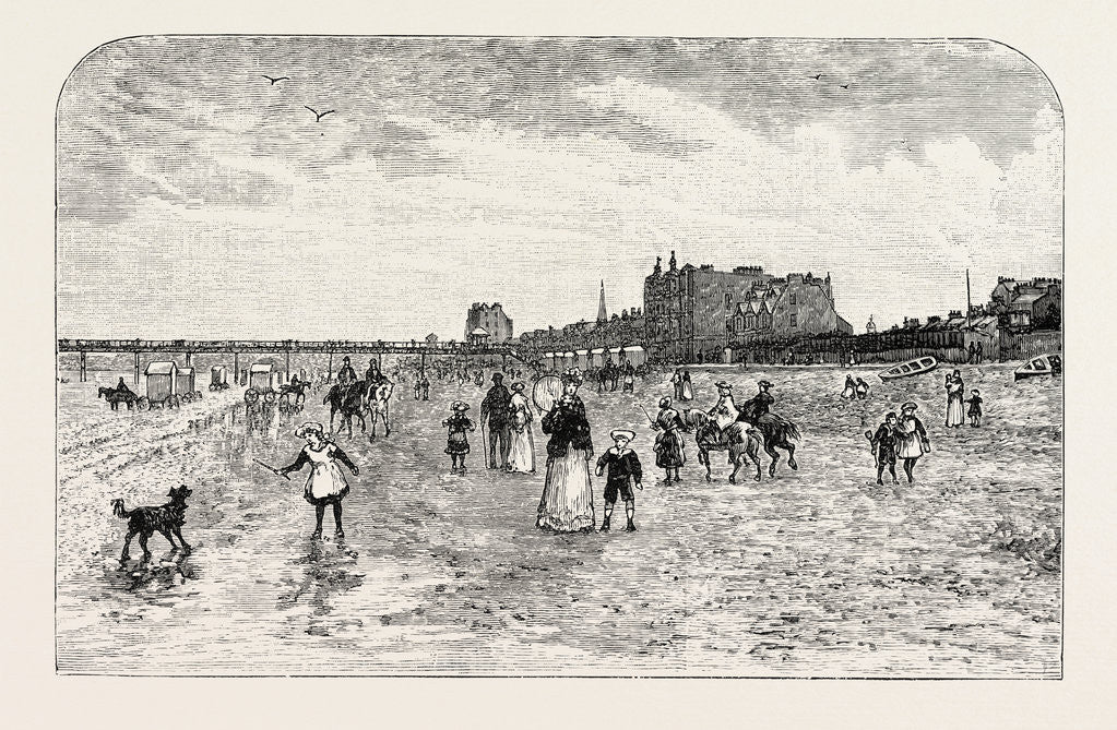 Detail of Portobello by Anonymous