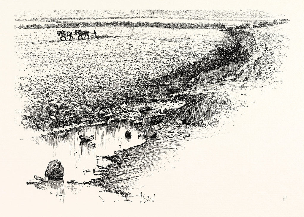 Detail of Flodden Field by Anonymous