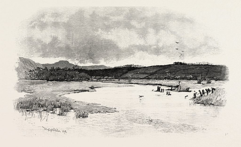 Detail of Junction of the Till and the Glen by Anonymous