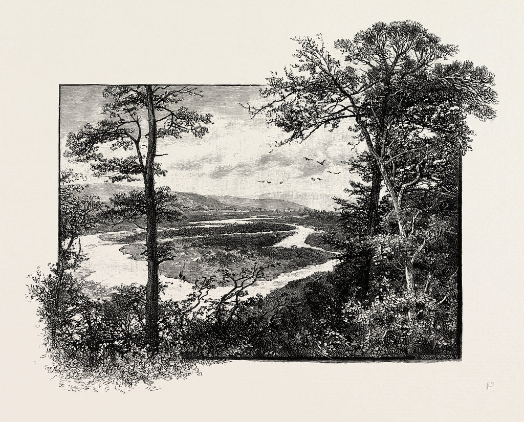 Detail of The Glen at Coupland by Anonymous