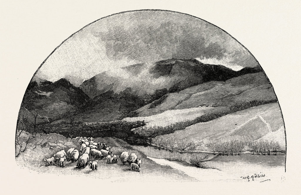 Detail of Hart Fell by Anonymous