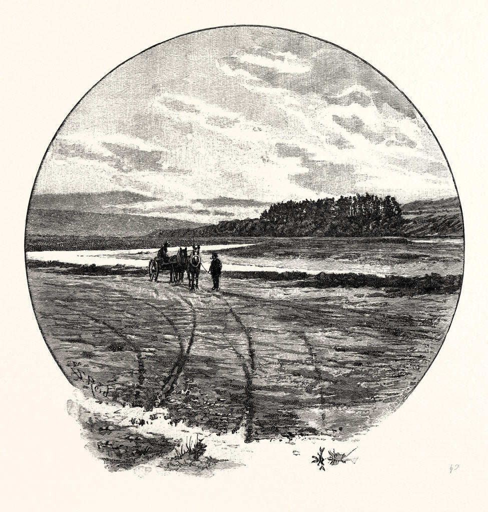 Detail of The Coquet at Farnham by Anonymous