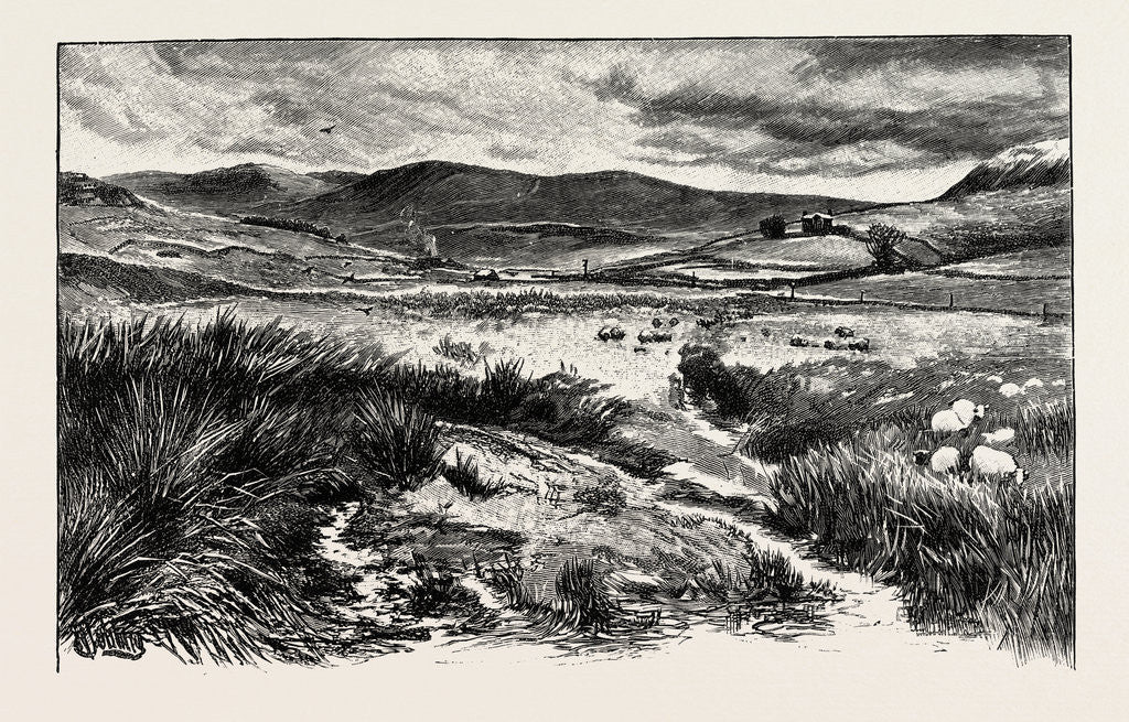 Detail of Keilder Moors (with Peel Fell to the Right) by Anonymous