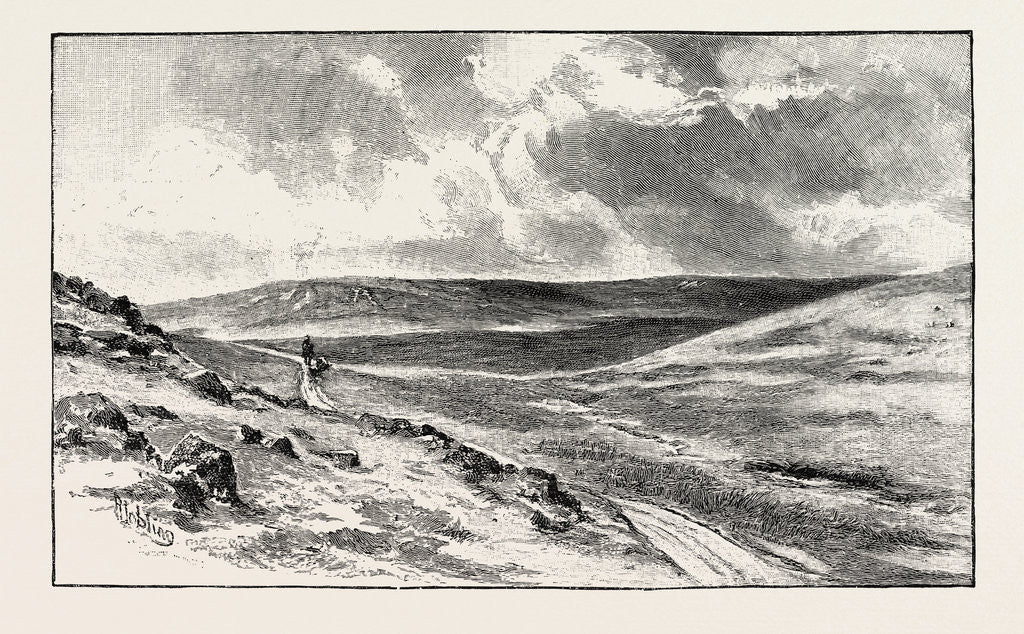 Detail of Alston Moor is an Area of Moorland and Civil Parish in Cumbria, England by Anonymous