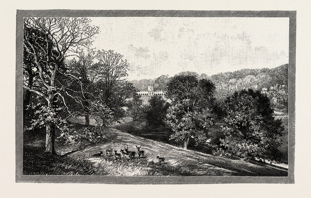 Detail of Bishop Auckland Palace and Park by Anonymous