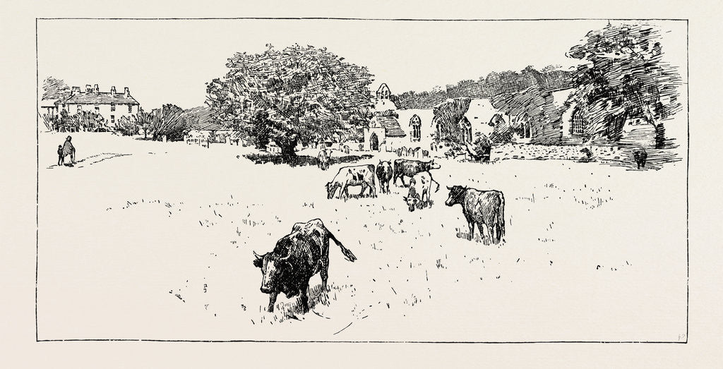 Detail of Wycliffe by Anonymous