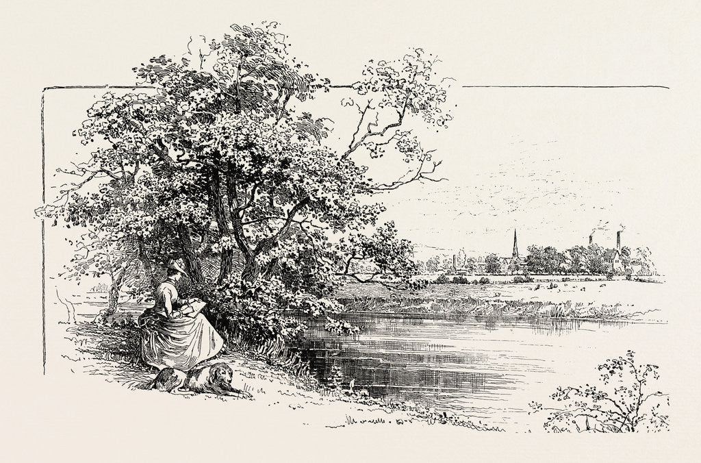 Detail of Rugeley, from the Stone Quarry by Anonymous