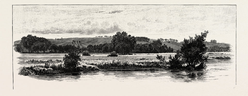 Detail of Cannock Chase, from the Trent by Anonymous