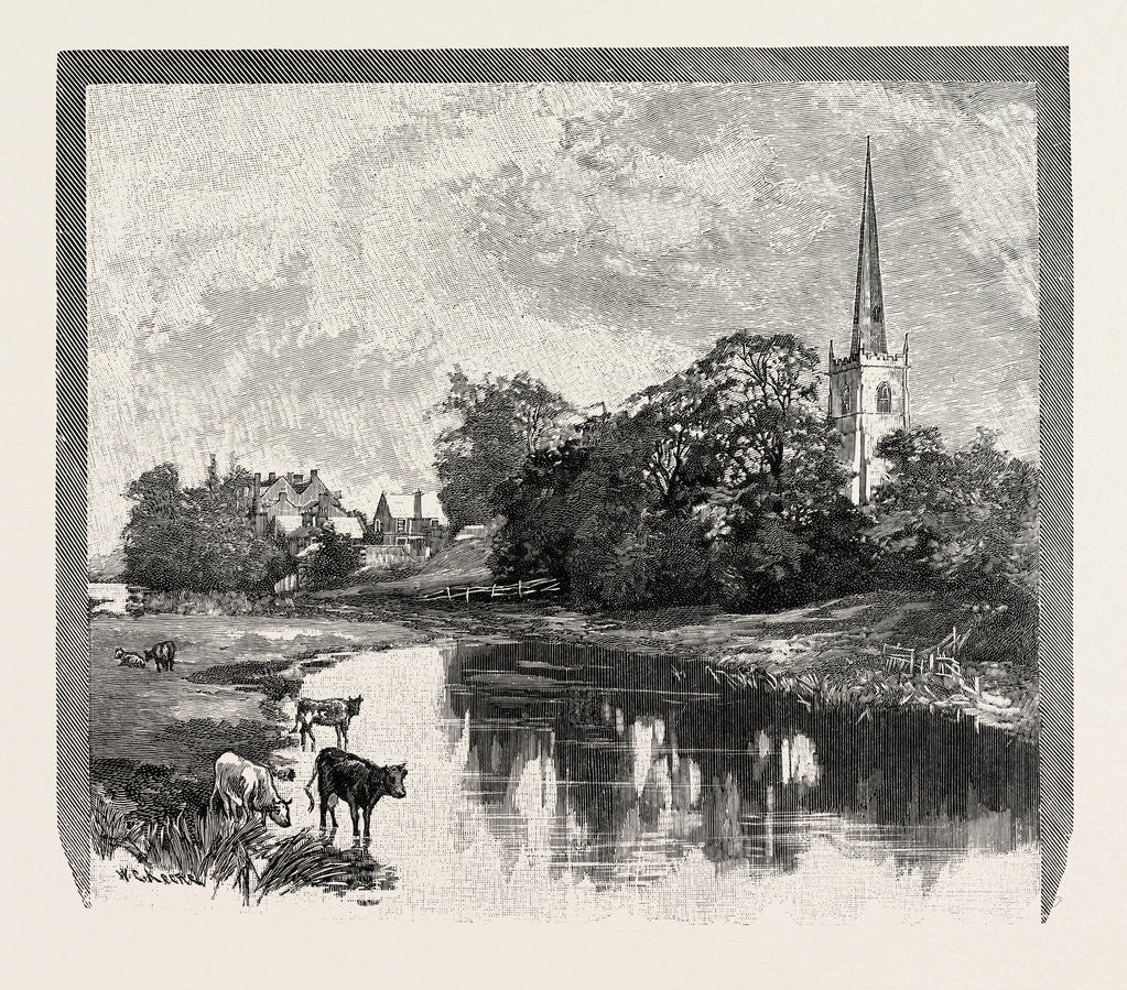 Detail of Repton by Anonymous