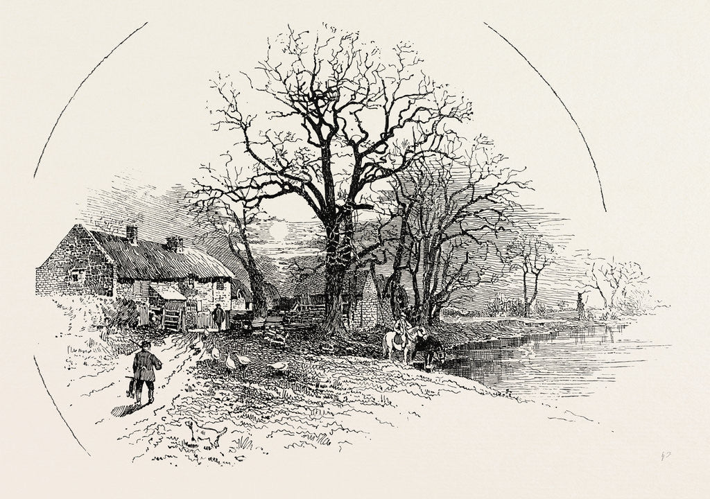 Detail of The Crow Trees, Barrow-on-Trent by Anonymous