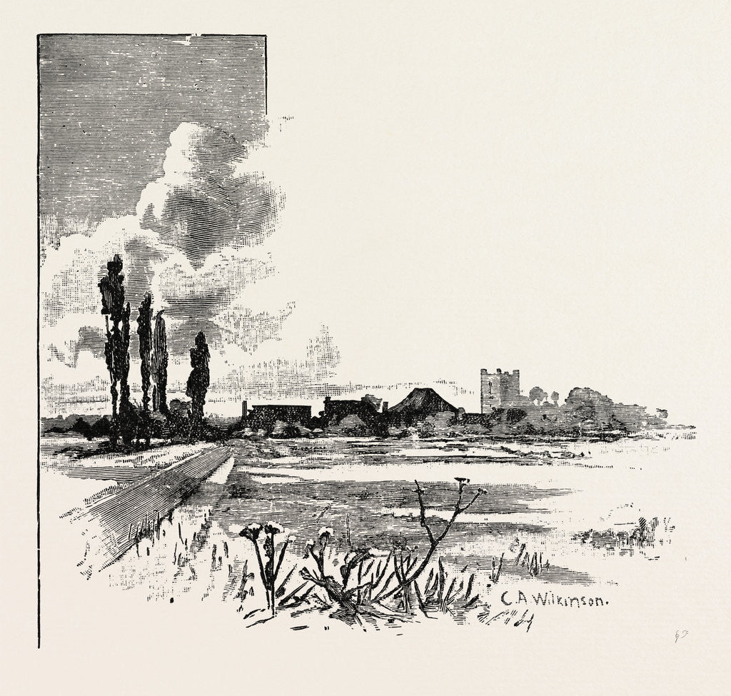 Detail of Meadow Land at Axholme by Anonymous