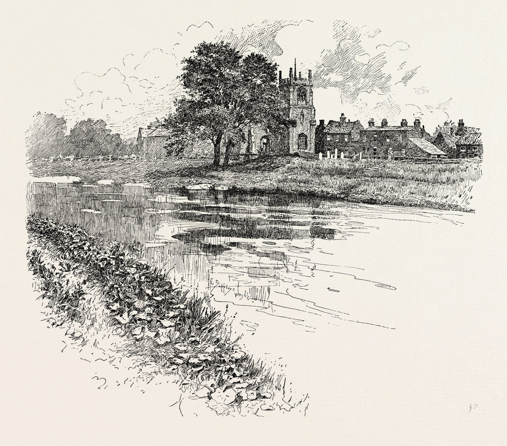 Detail of Cawood by Anonymous